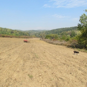 Boje jeseni