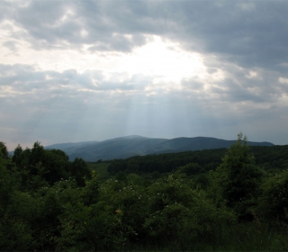 Pogled na Psunj sa Mekote